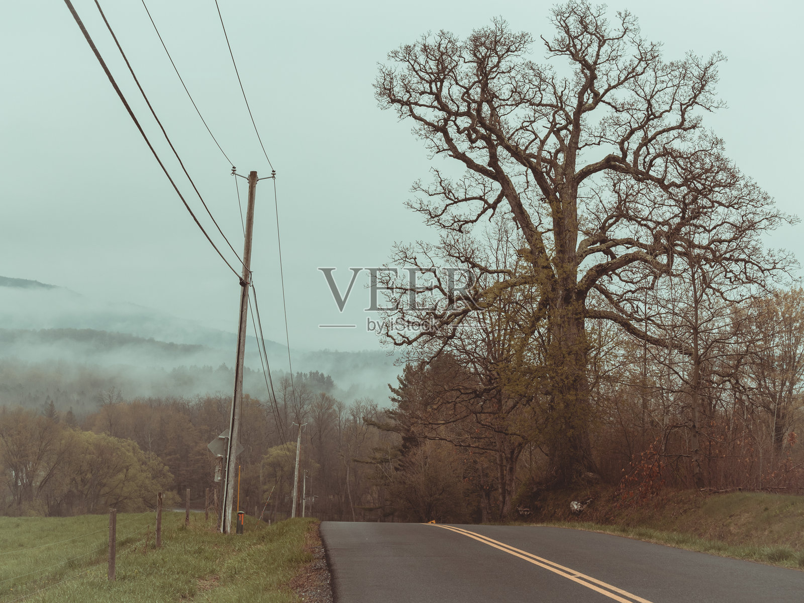 纽约州上州的乡村农田与佛蒙特州的山脉照片摄影图片