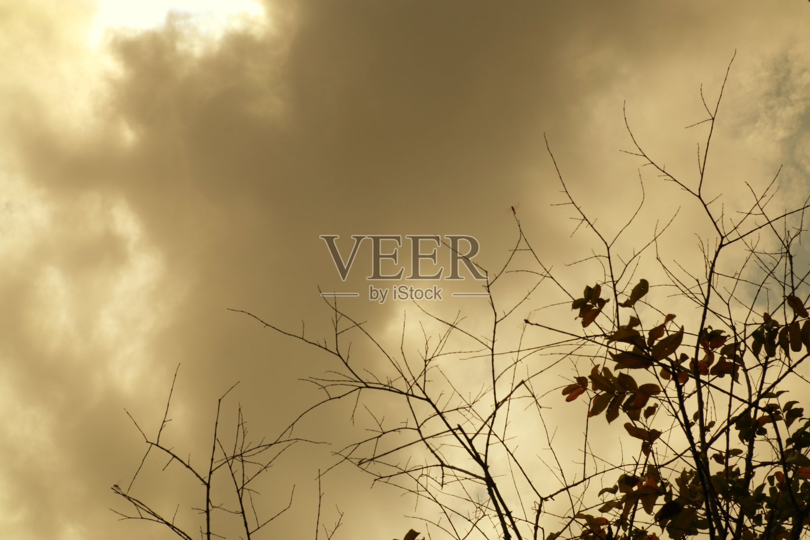 阴郁的天空与光秃的树枝：富有氛围的秋季风景视图照片摄影图片