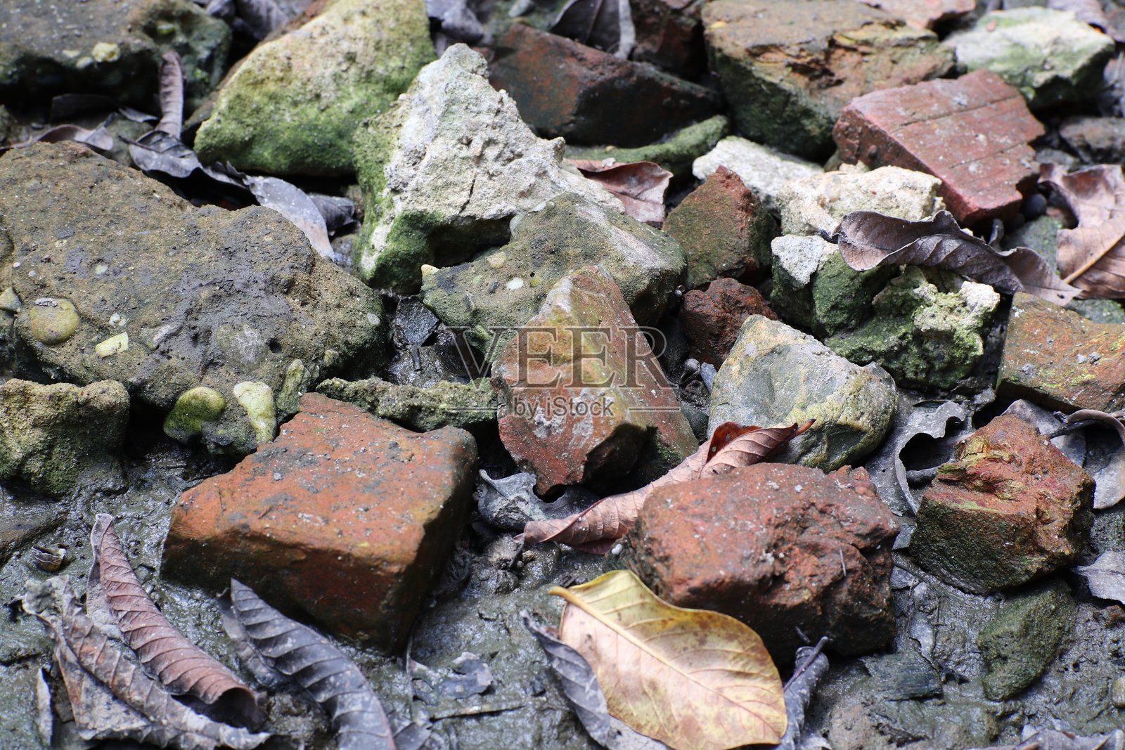 潮湿地面上夹杂着风化的砖块碎片和落叶照片摄影图片