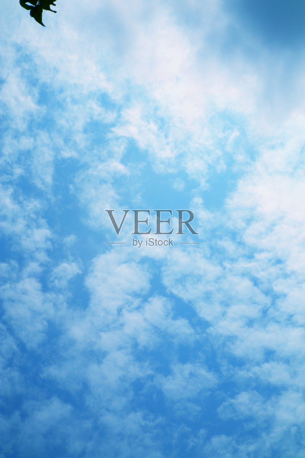 阳光明媚的日子，湛蓝的天空中飘着柔软的白云照片摄影图片