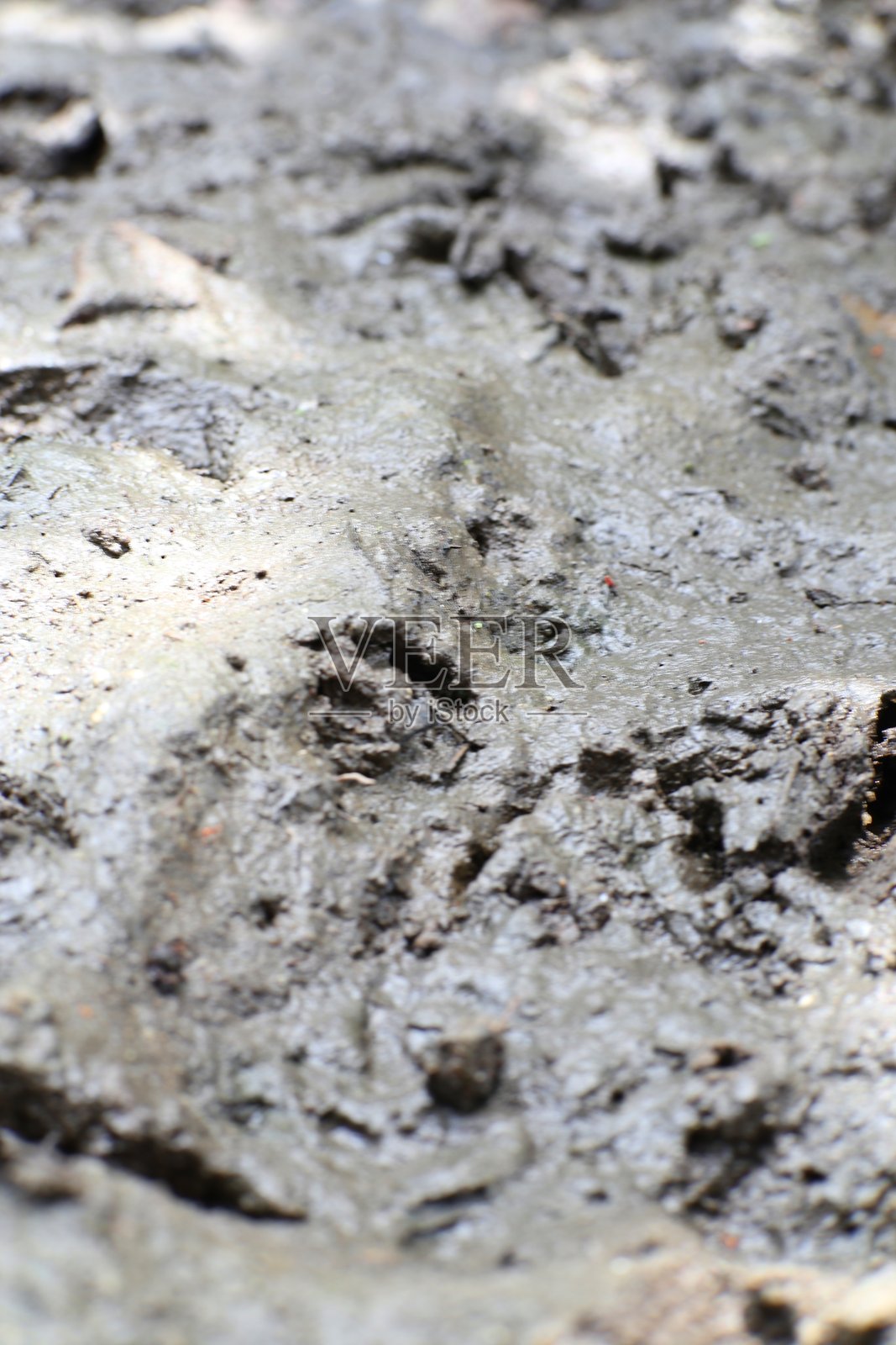 自然光条件下湿泥质地的详细特写照片摄影图片