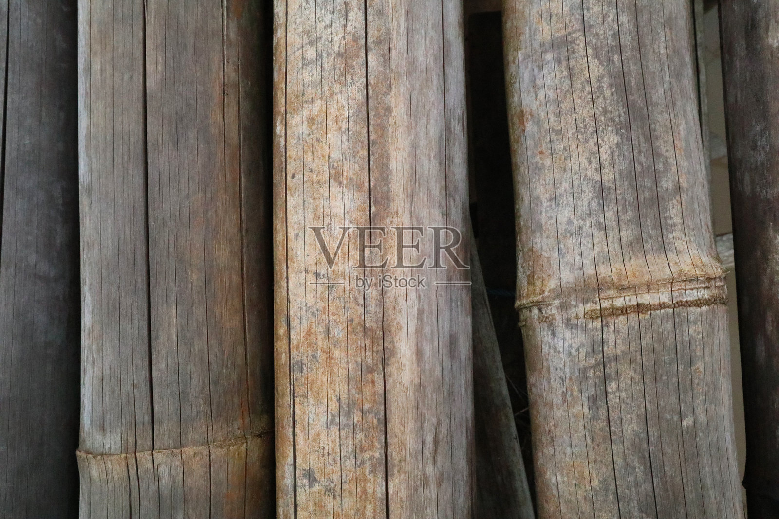 干竹纹理特写照片摄影图片