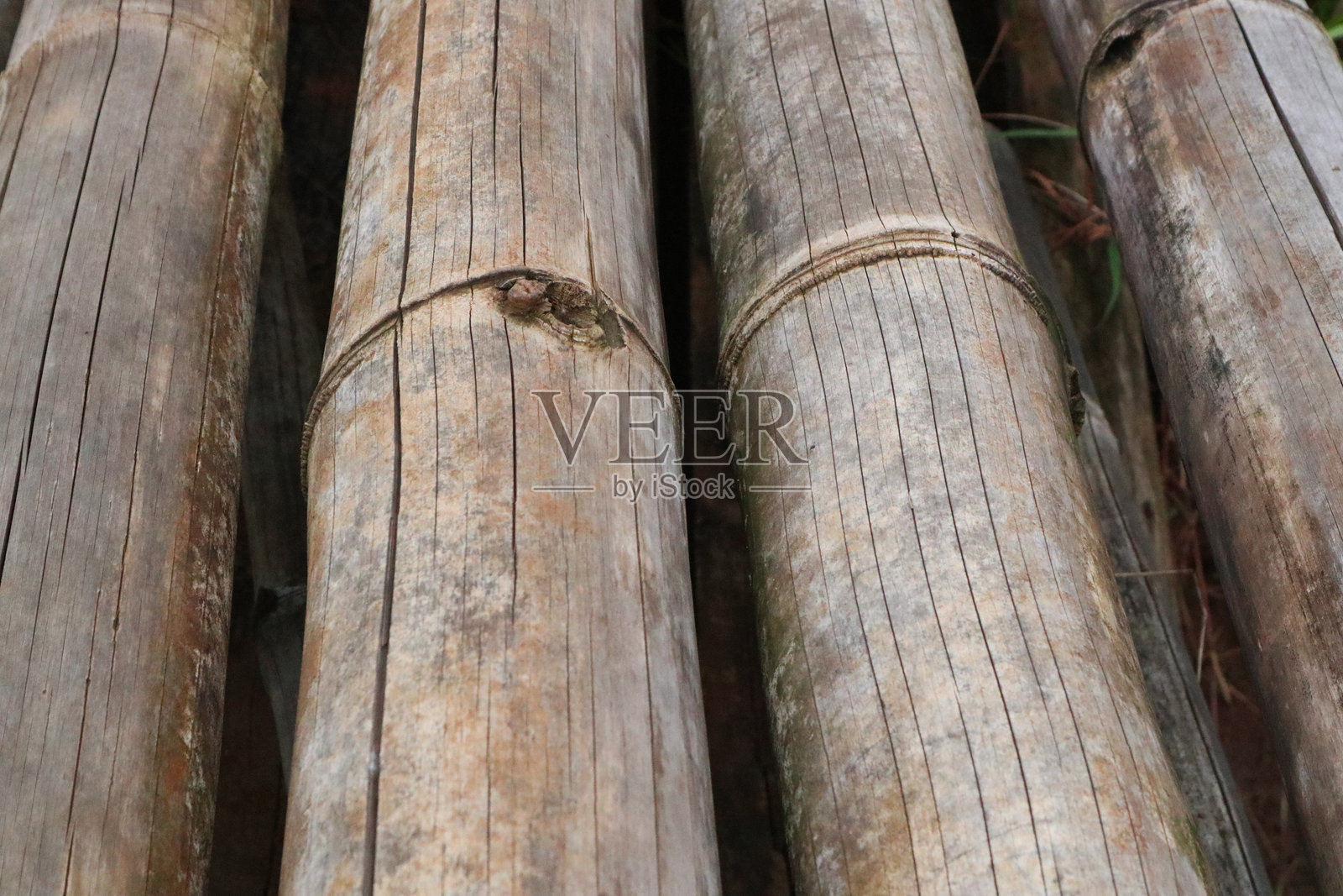 干竹纹理特写照片摄影图片