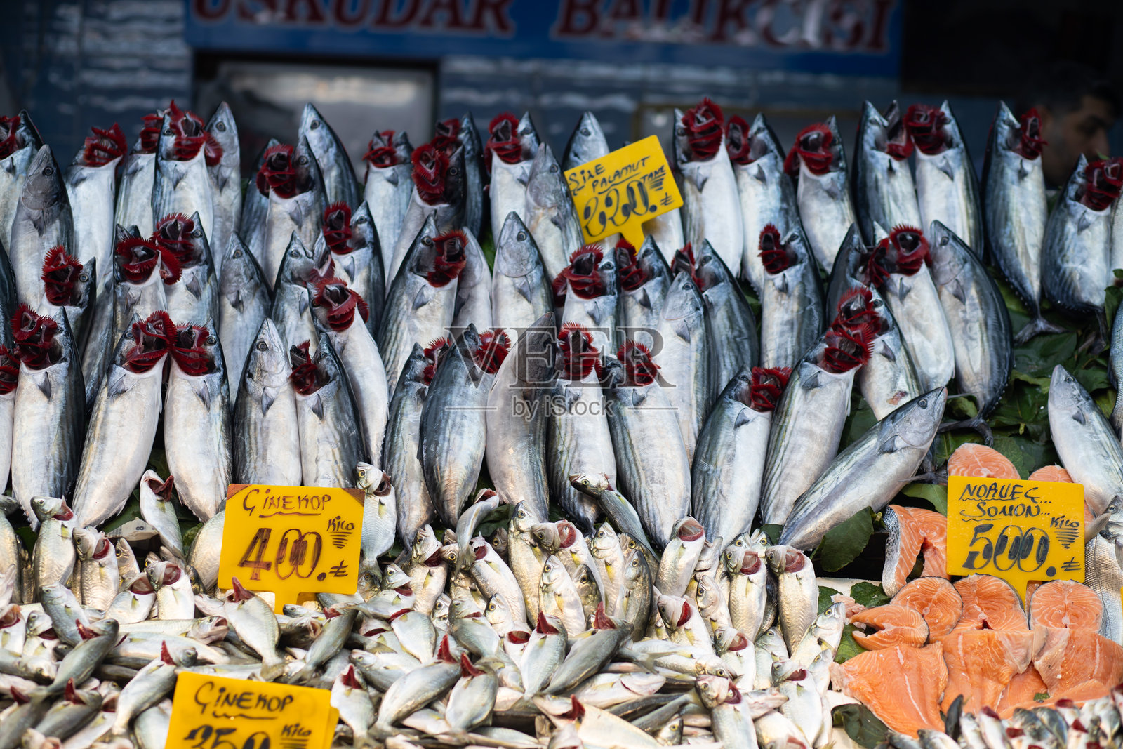 新鲜鱼类品种在叶子上排列，附有价格标签，展现了热闹的当地海鲜市场。照片摄影图片