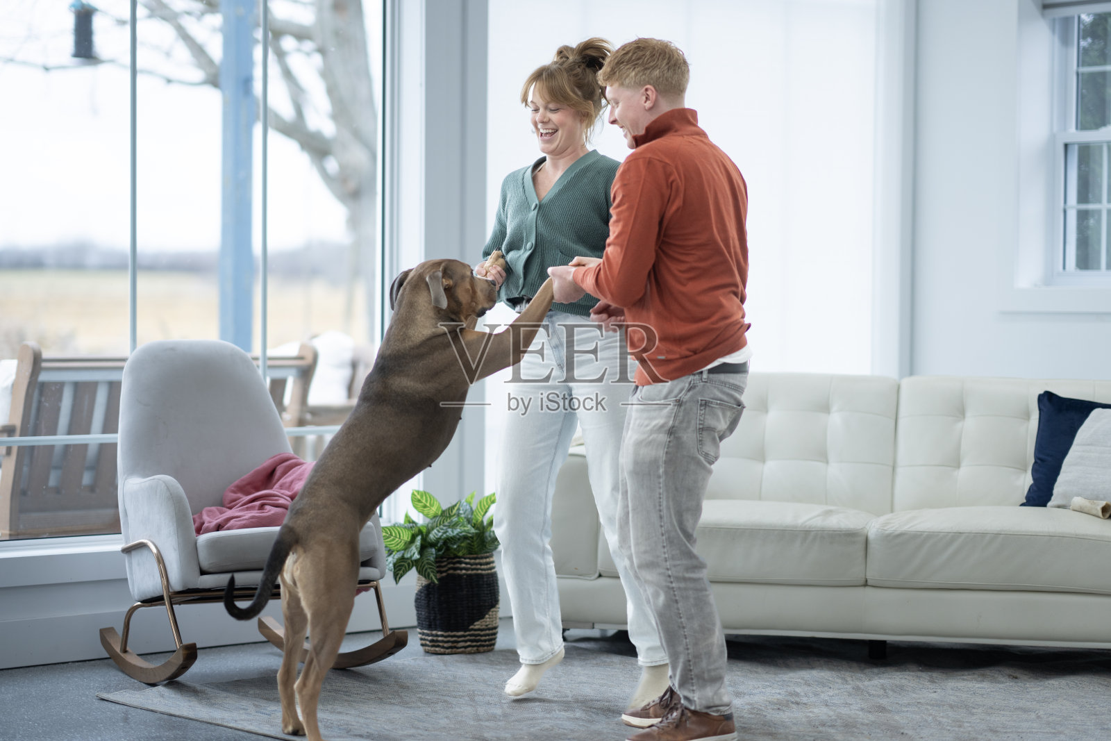 狗狗舞蹈照片摄影图片