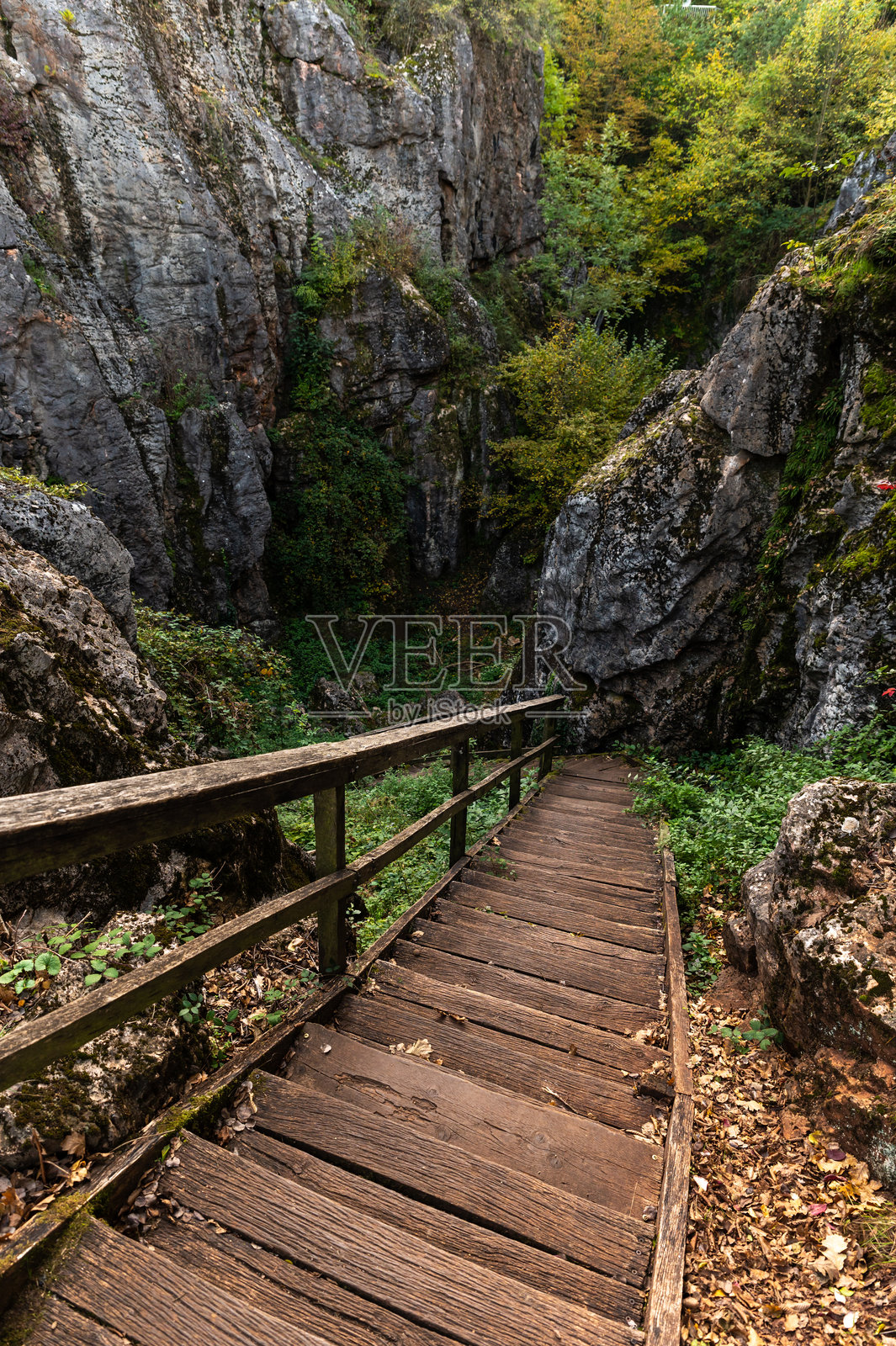 乌尔库特的古喀斯特自然保护区内的木制楼梯沿着岩石悬崖而建照片摄影图片