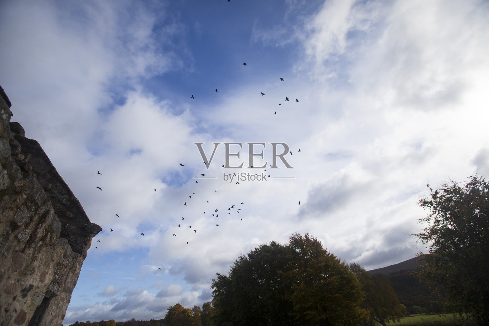 一群鸟儿飞离一座古老教堂的废墟照片摄影图片