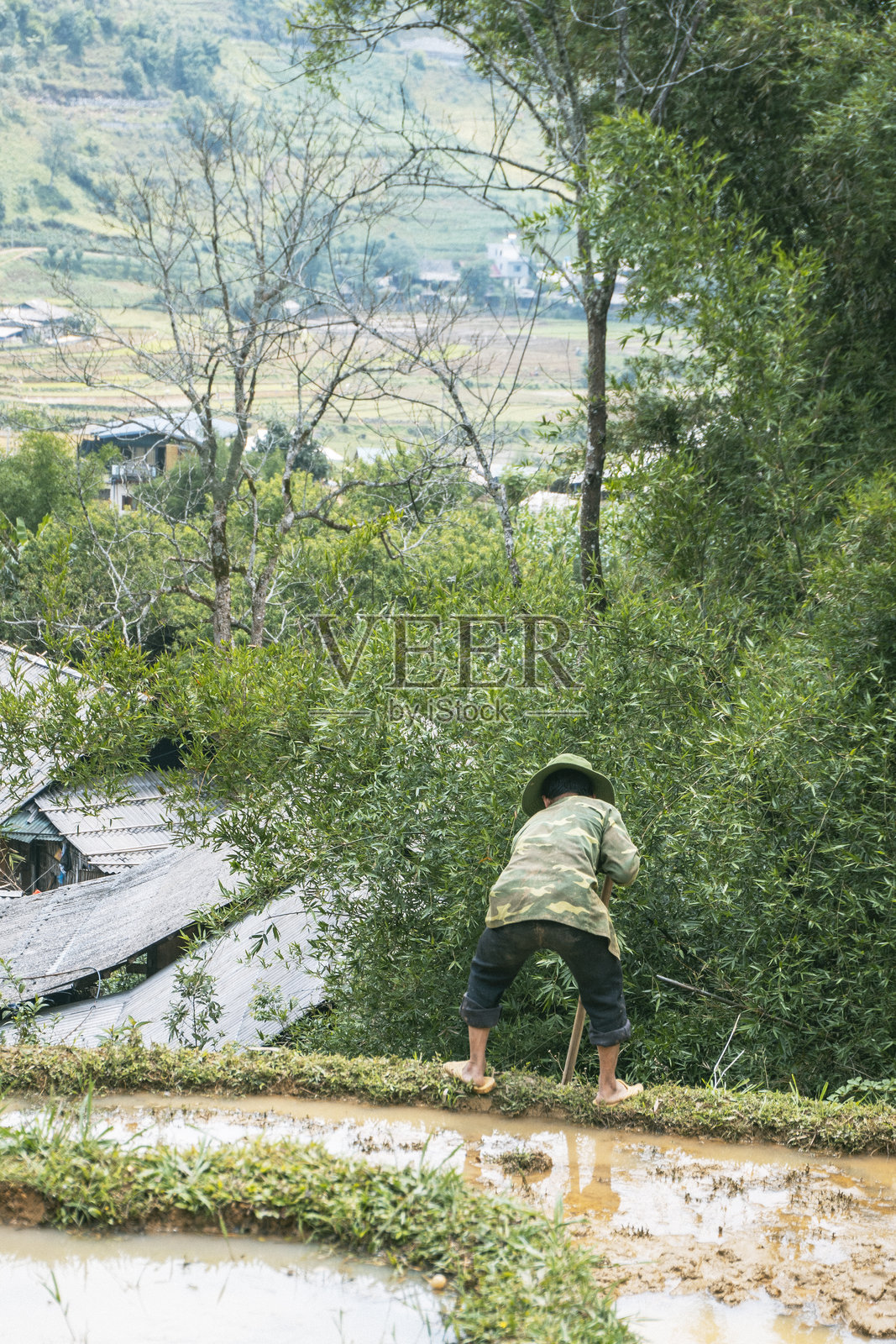 越南沙坝 - 2024年5月12日。农民在被淹没的稻田旁沉思。照片摄影图片