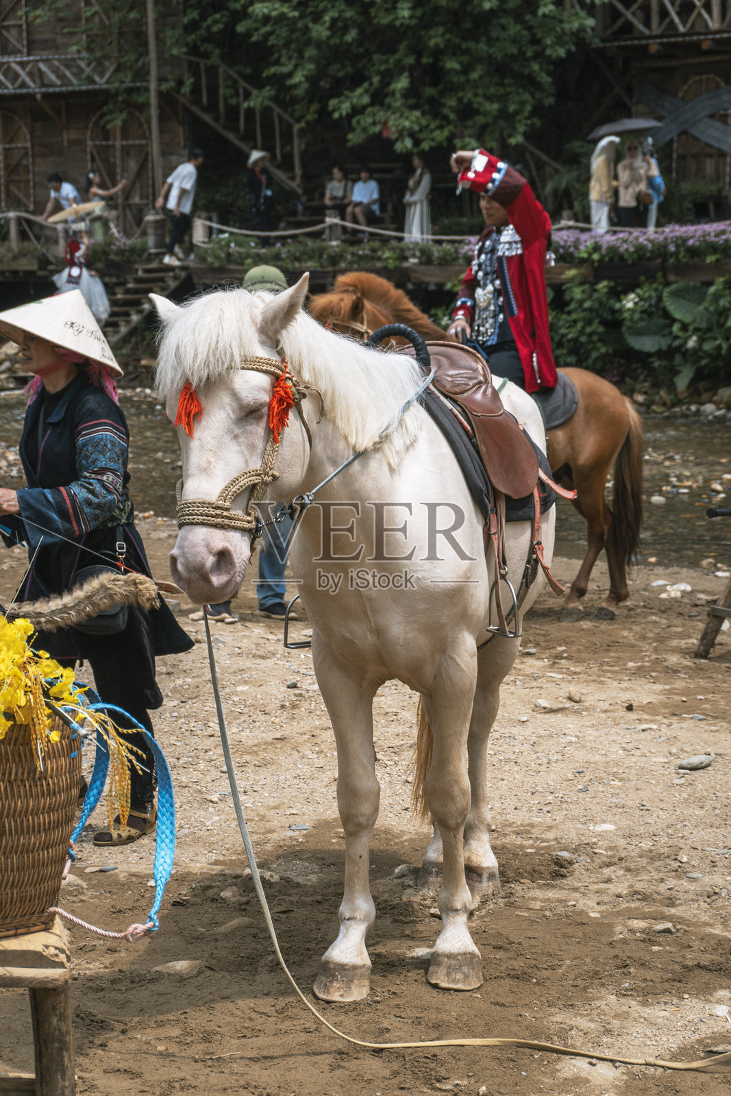越南沙坝 - 2024年5月12日。乡村村庄中的装饰马照片摄影图片
