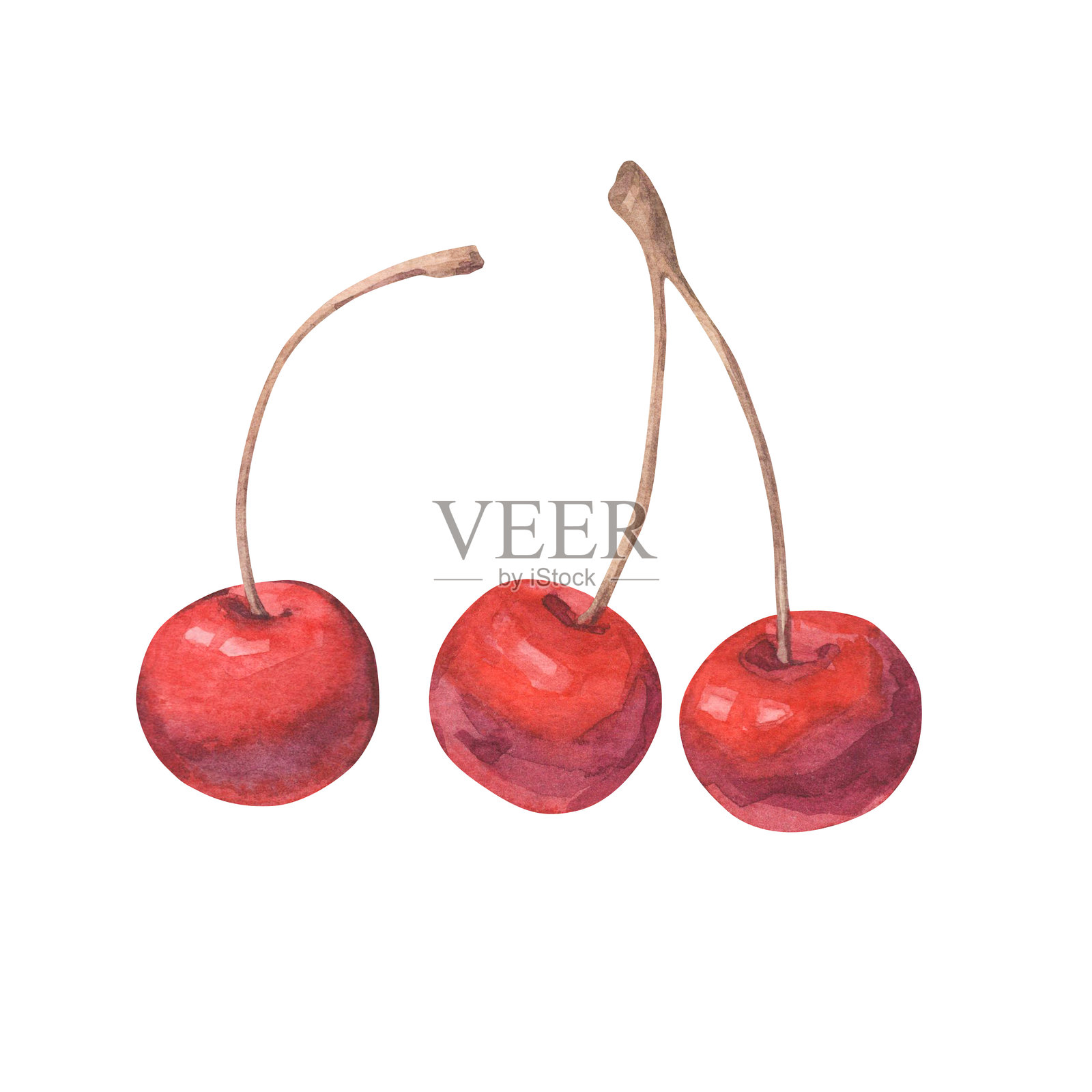美丽的樱桃水彩插画套装插画图片素材