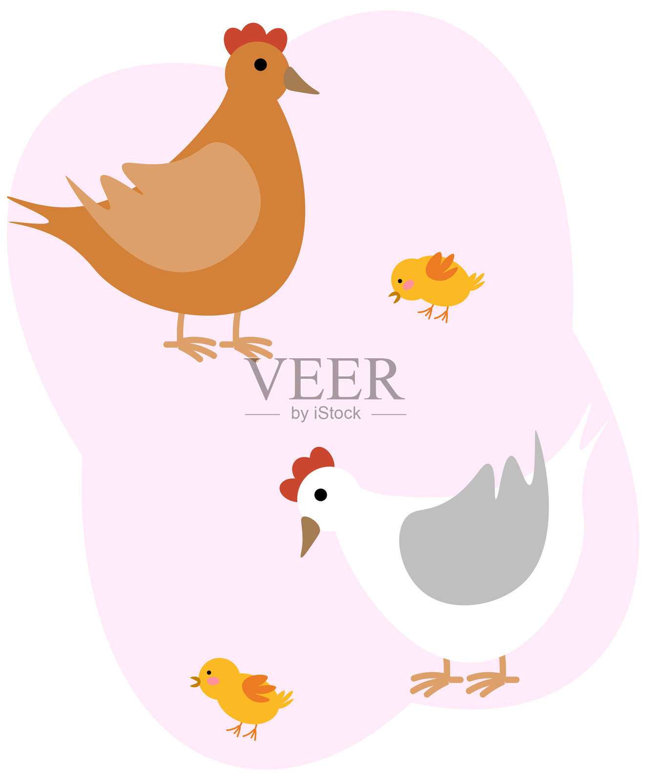 白色背景上的鸡和小鸡。矢量插图。插画图片素材