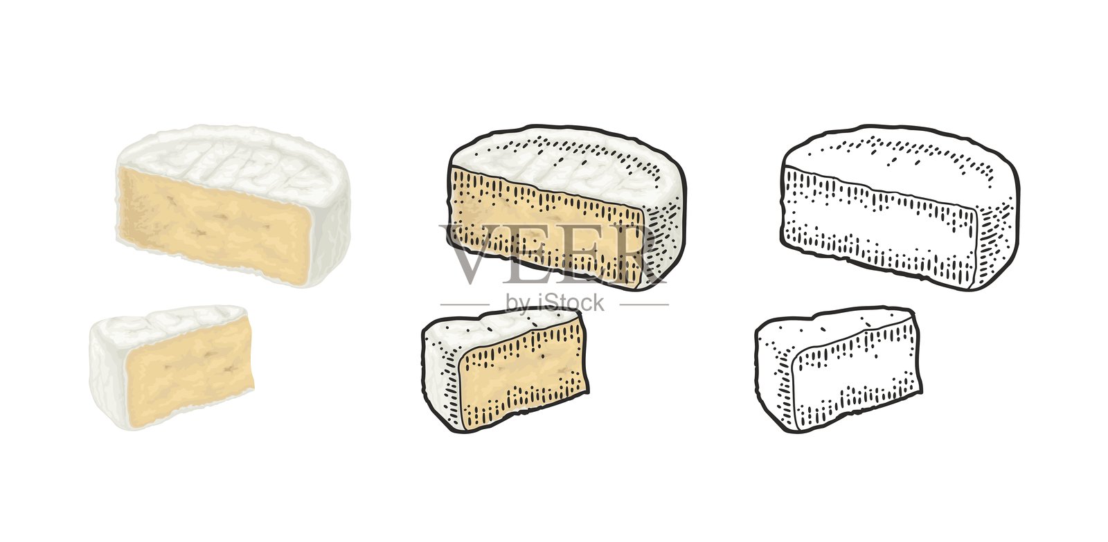 半个头和几块卡门贝尔奶酪。矢量复古雕刻插图插画图片素材