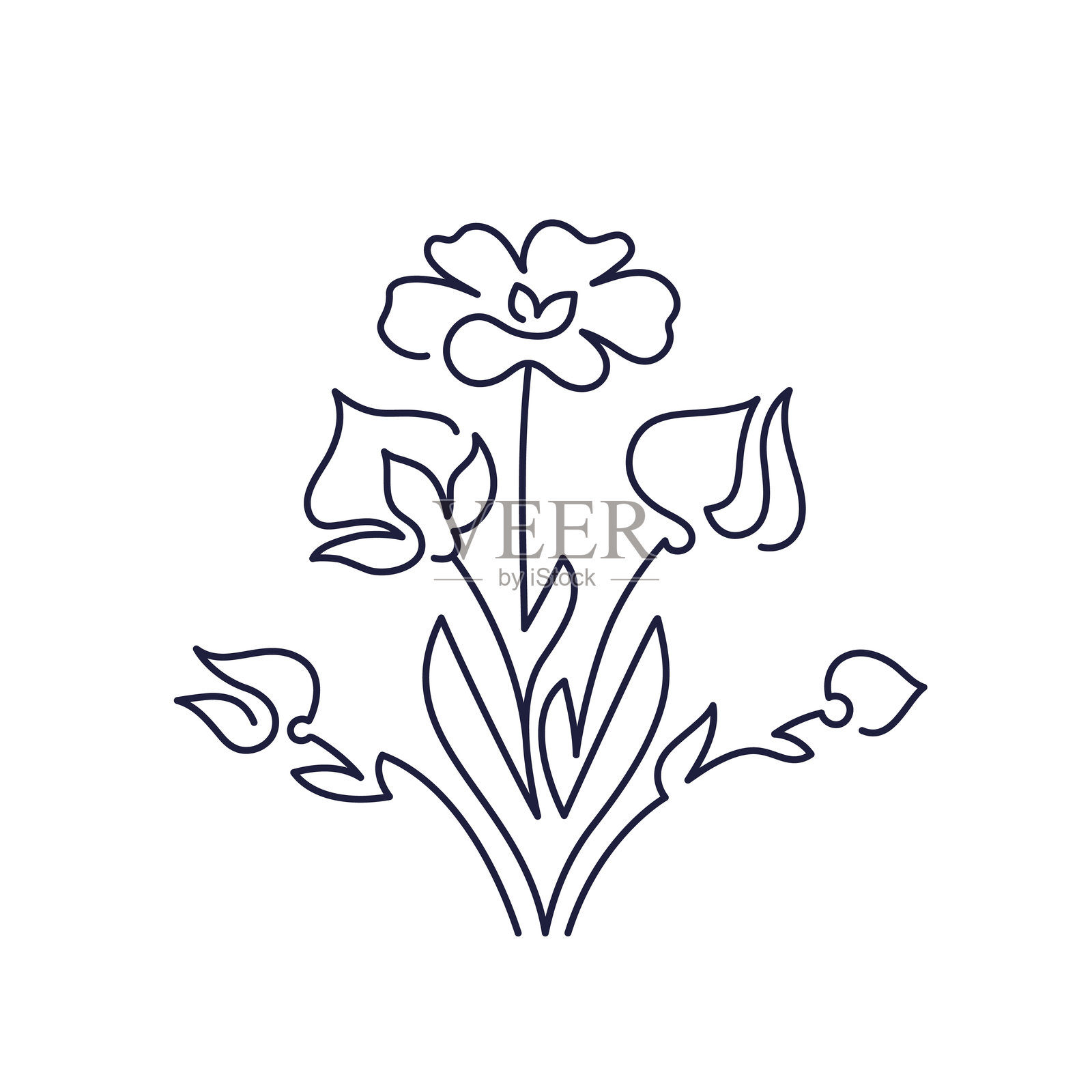 亚麻植物。矢量花朵线条艺术标志 亚麻图标插画图片素材