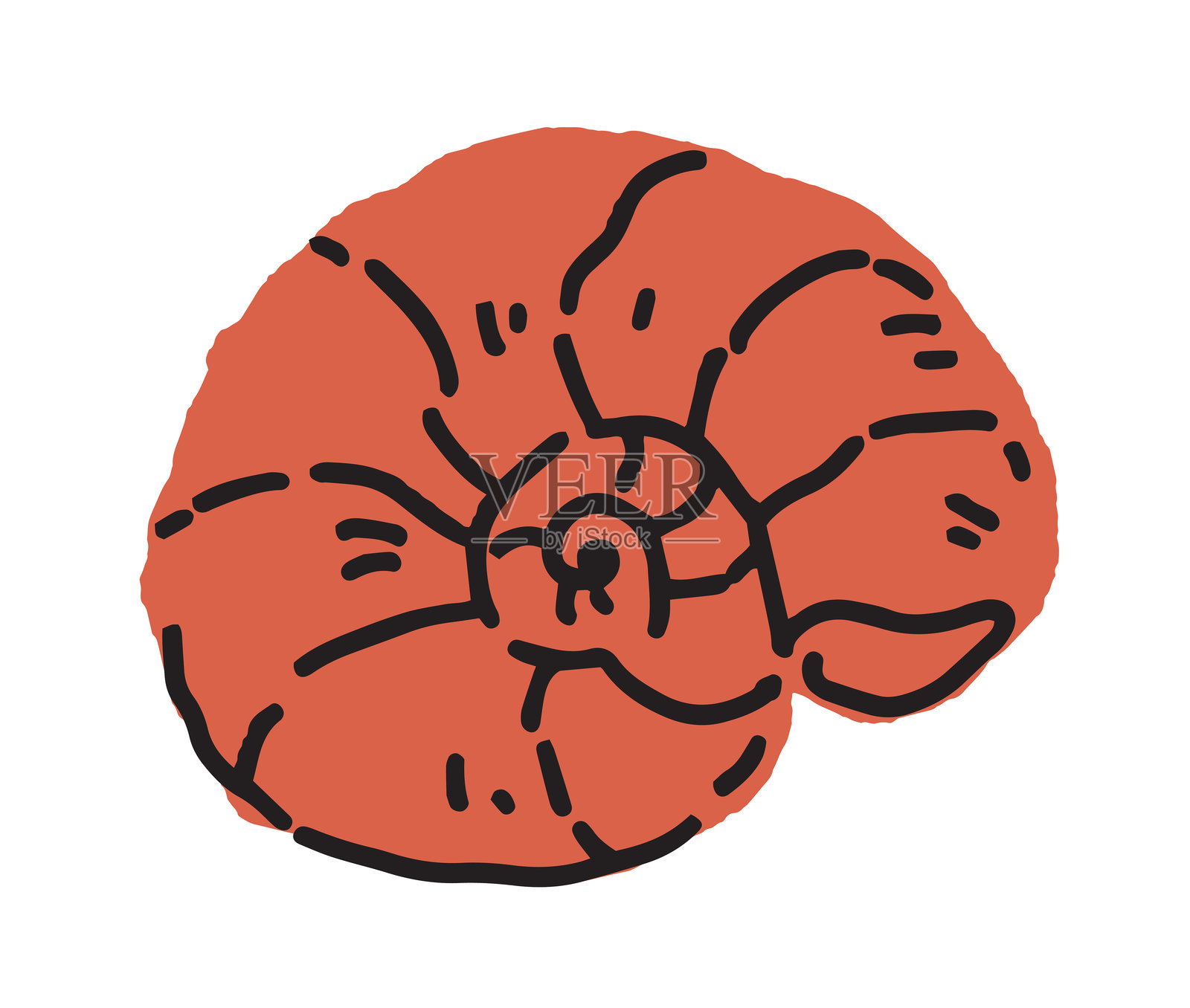 抽象螺旋壳矢量插图插画图片素材