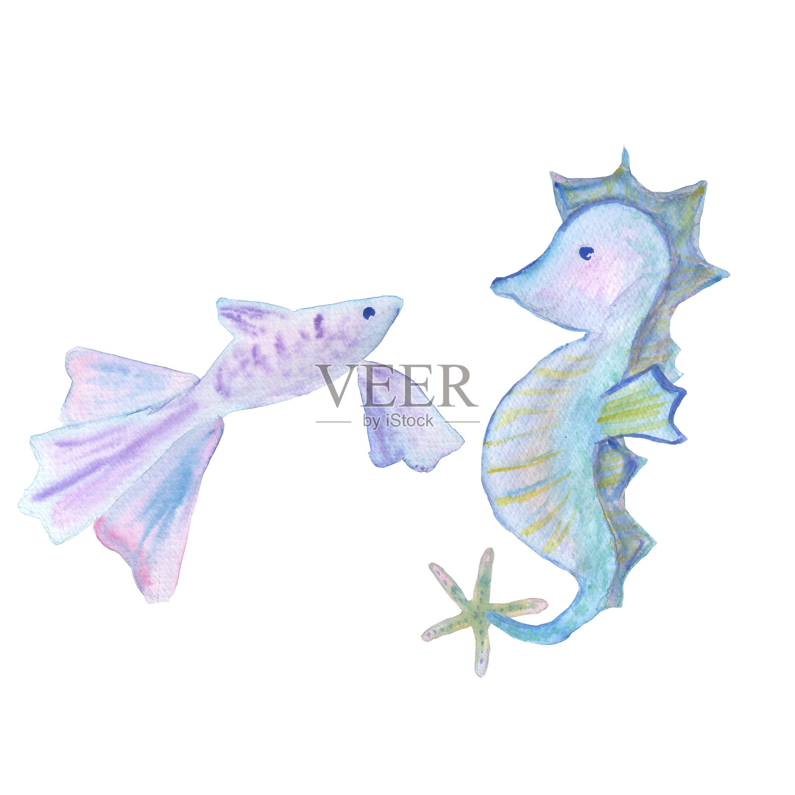紫色鱼和海马的水彩插图，独立于白色背景，适用于餐具、面料、记事本和笔记本的设计。插画图片素材