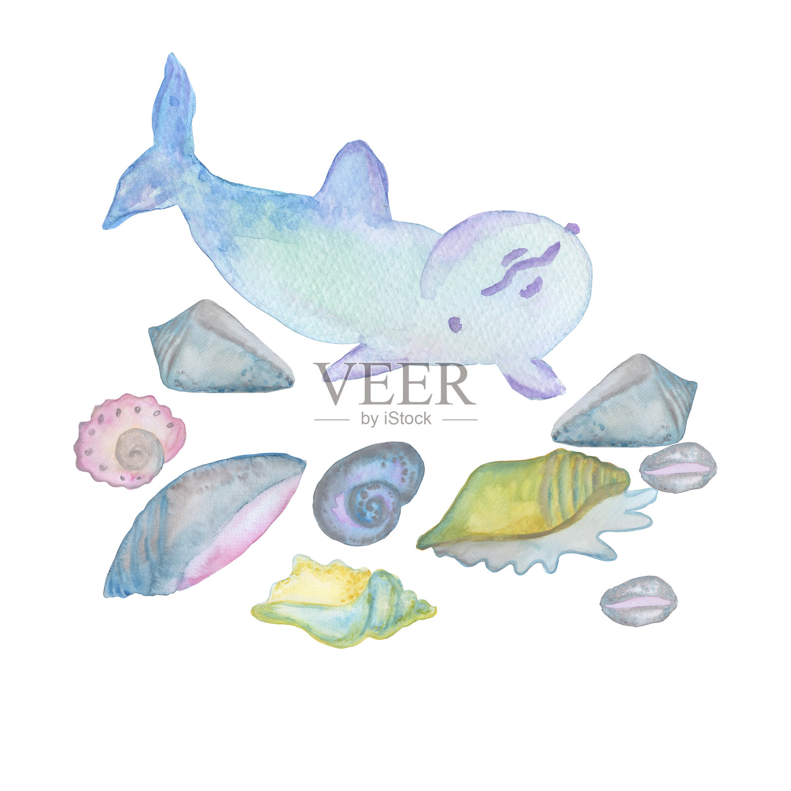 各种海贝壳和微笑的海豚组成的水彩插图，背景为白色，适用于纺织设计、贴纸、卡片和横幅。插画图片素材