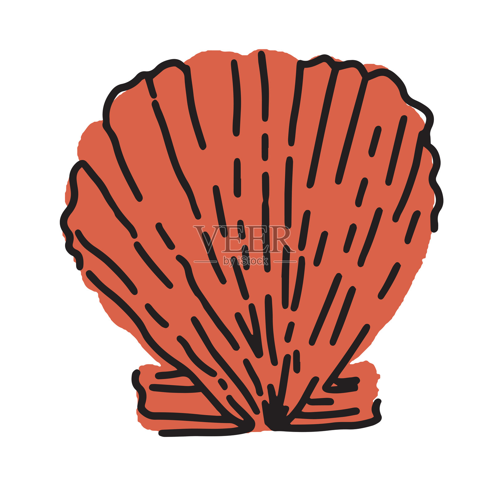 简约的橙色扇贝壳矢量图插画图片素材
