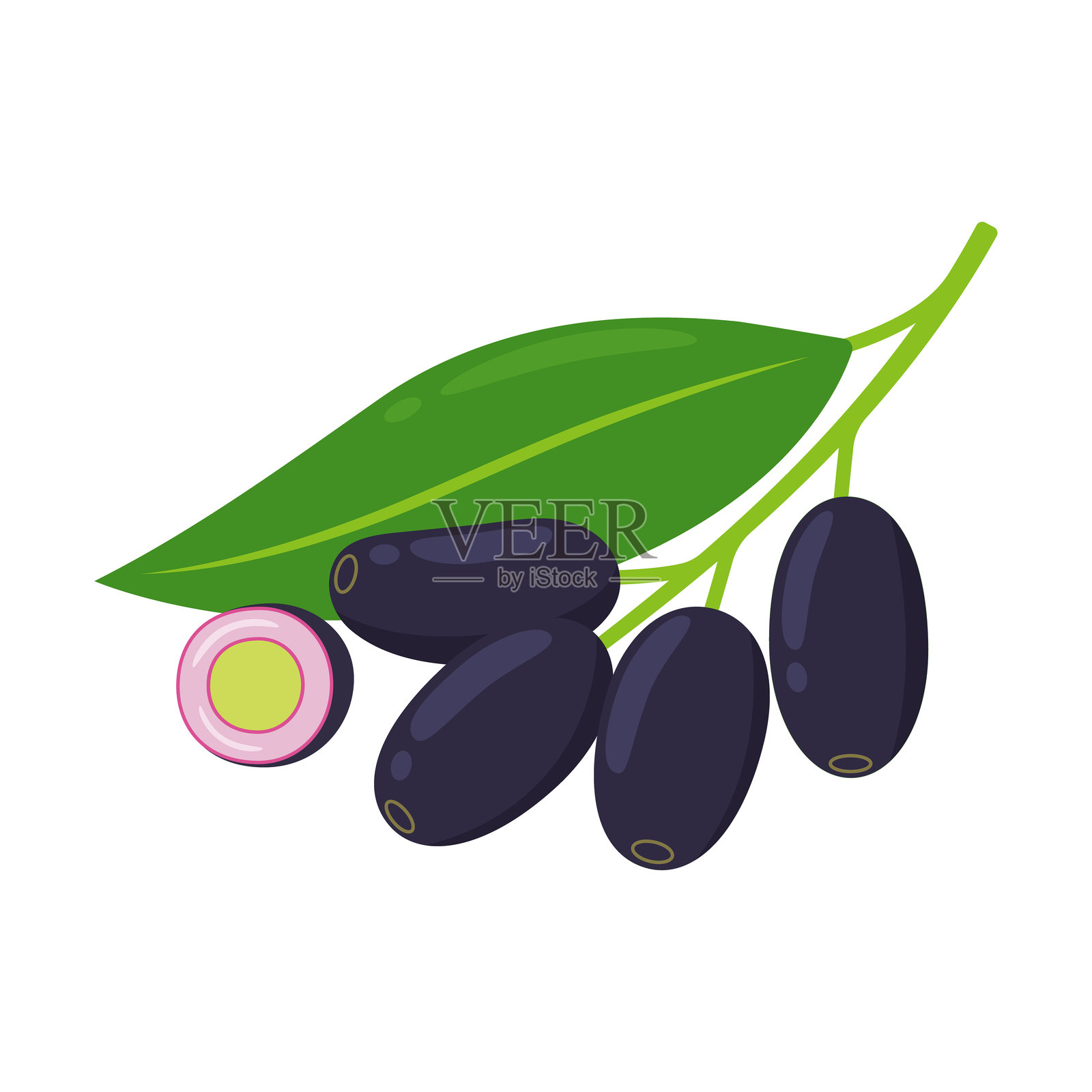 透明背景上的紫心李。Syzygium cumini，黑李，黑枣，马拉巴尔李或爪哇李图标。热带异国水果的平面风格矢量插图。插画图片素材