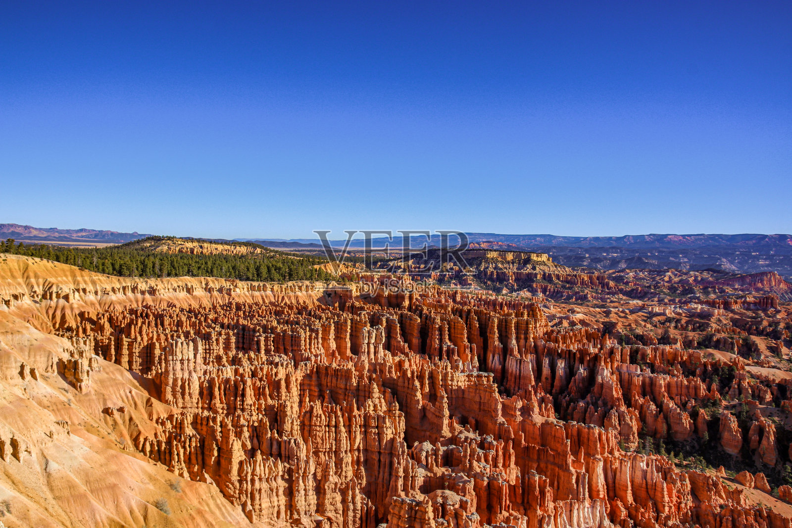 体验布莱斯峡谷独特而迷人的岩石 formations，布莱斯峡谷国家公园，美国照片摄影图片