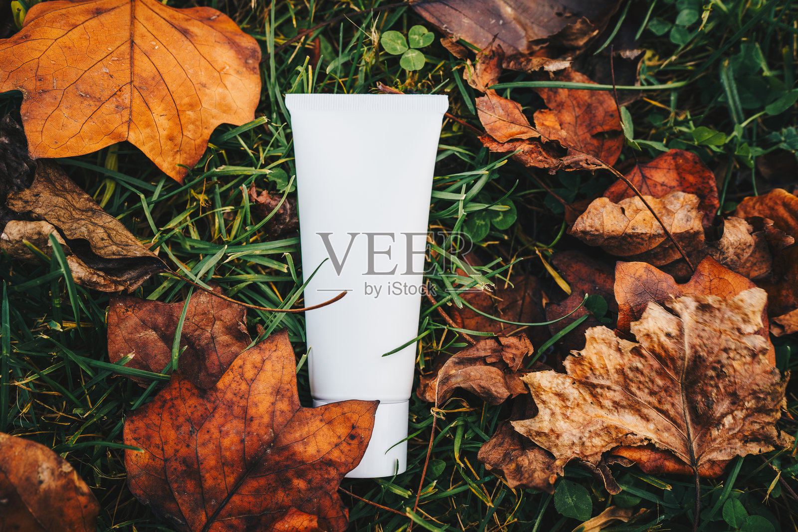 白色化妆品管与草地上的乳液和干燥的秋叶照片摄影图片
