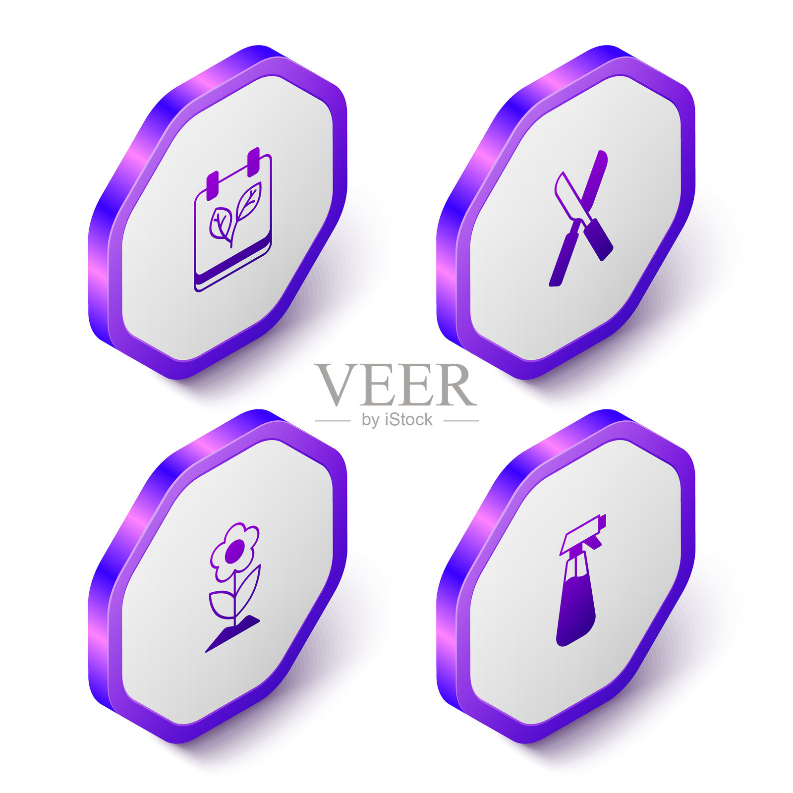 等距日历，配有秋天的树叶、园艺剪刀、花朵和喷雾器图标。紫色六边形按钮。矢量图。插画图片素材