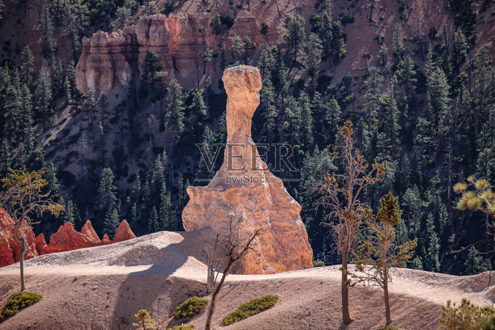 体验布莱斯峡谷令人惊叹的风景和独特迷人的岩石 formations，布莱斯峡谷国家公园，美国照片摄影图片