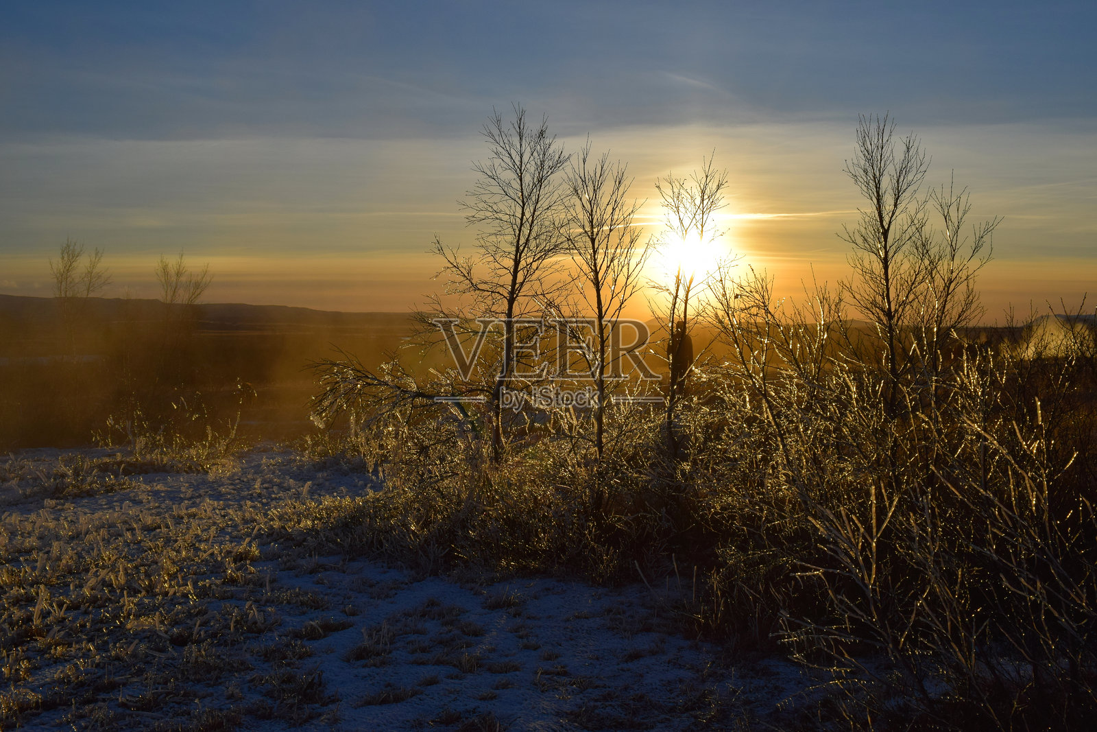 冰岛的日落，伴随着冰冻的树木和雾气照片摄影图片