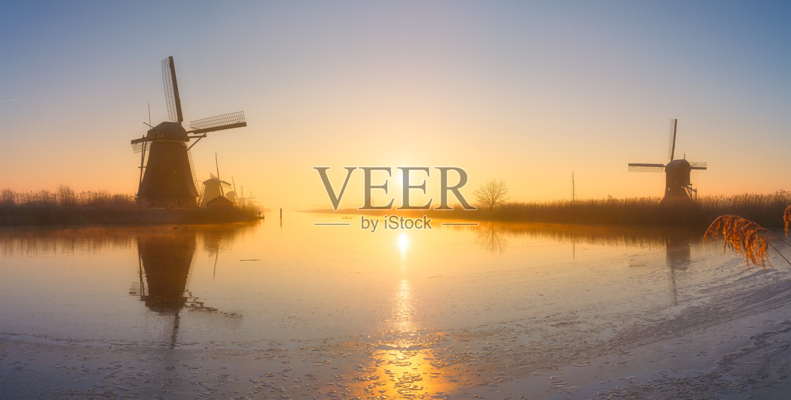 荷兰日出时的风车。雾蒙蒙的早晨和阳光。荷兰运河。全景自然风光。适合用作背景、壁纸和明信片的照片。照片摄影图片