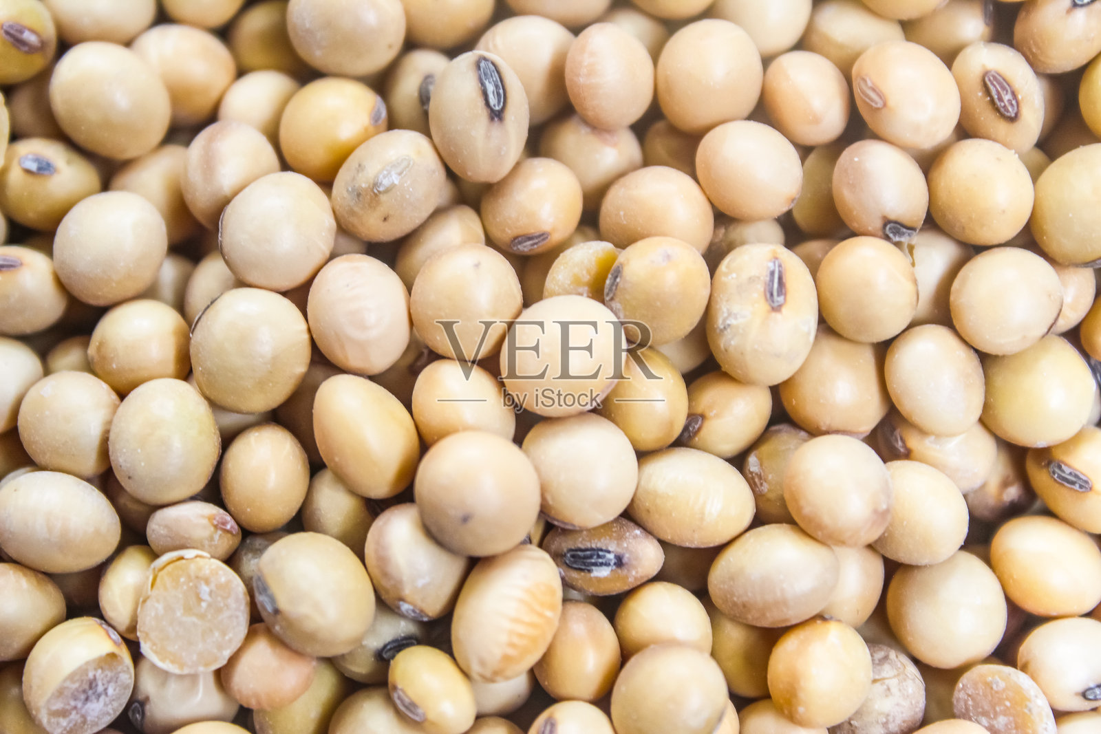 大豆堆的特写镜头照片摄影图片