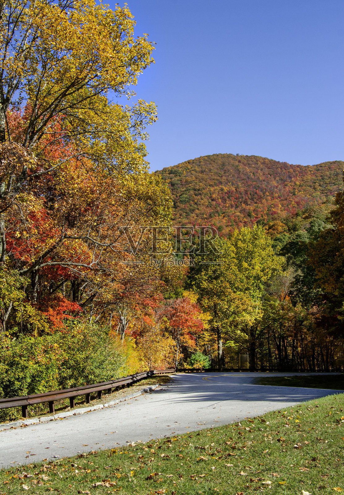 田纳西州切罗哈拉天空公路沿线的秋叶美景，鲜艳的红色、黄色和绿色树木沿着道路排列，覆盖着土耳其溪观景点的山脉。垂直格式照片摄影图片