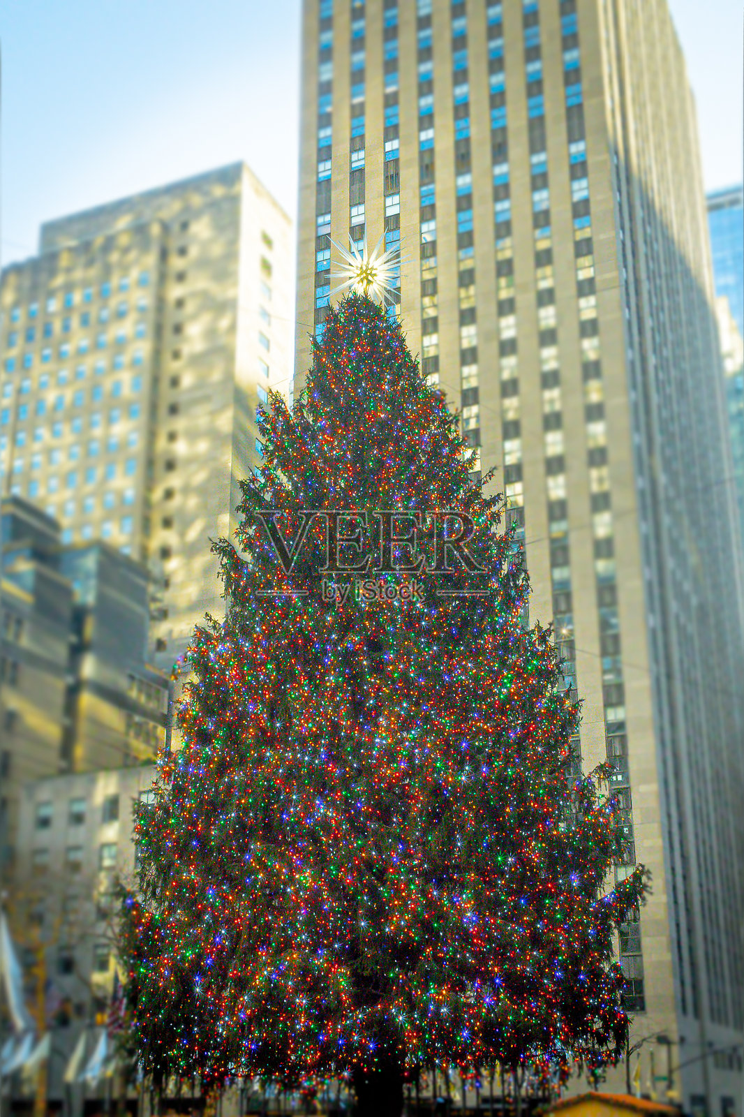 纽约市标志性的洛克菲勒圣诞树照片摄影图片