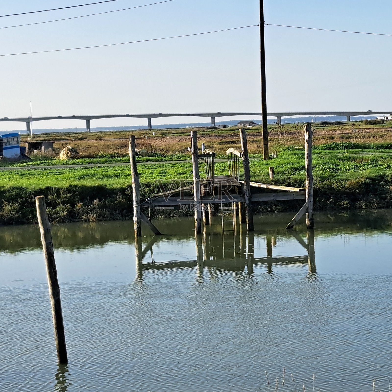 牡蛎照片摄影图片