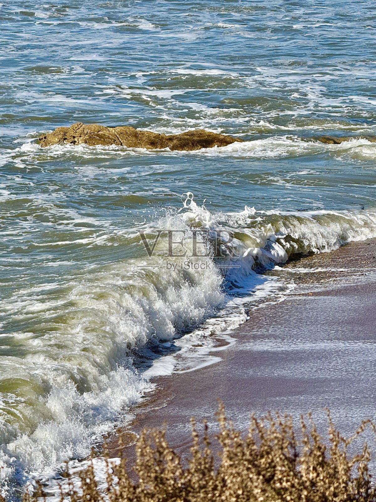 加利福尼亚州皮斯莫海滩照片摄影图片