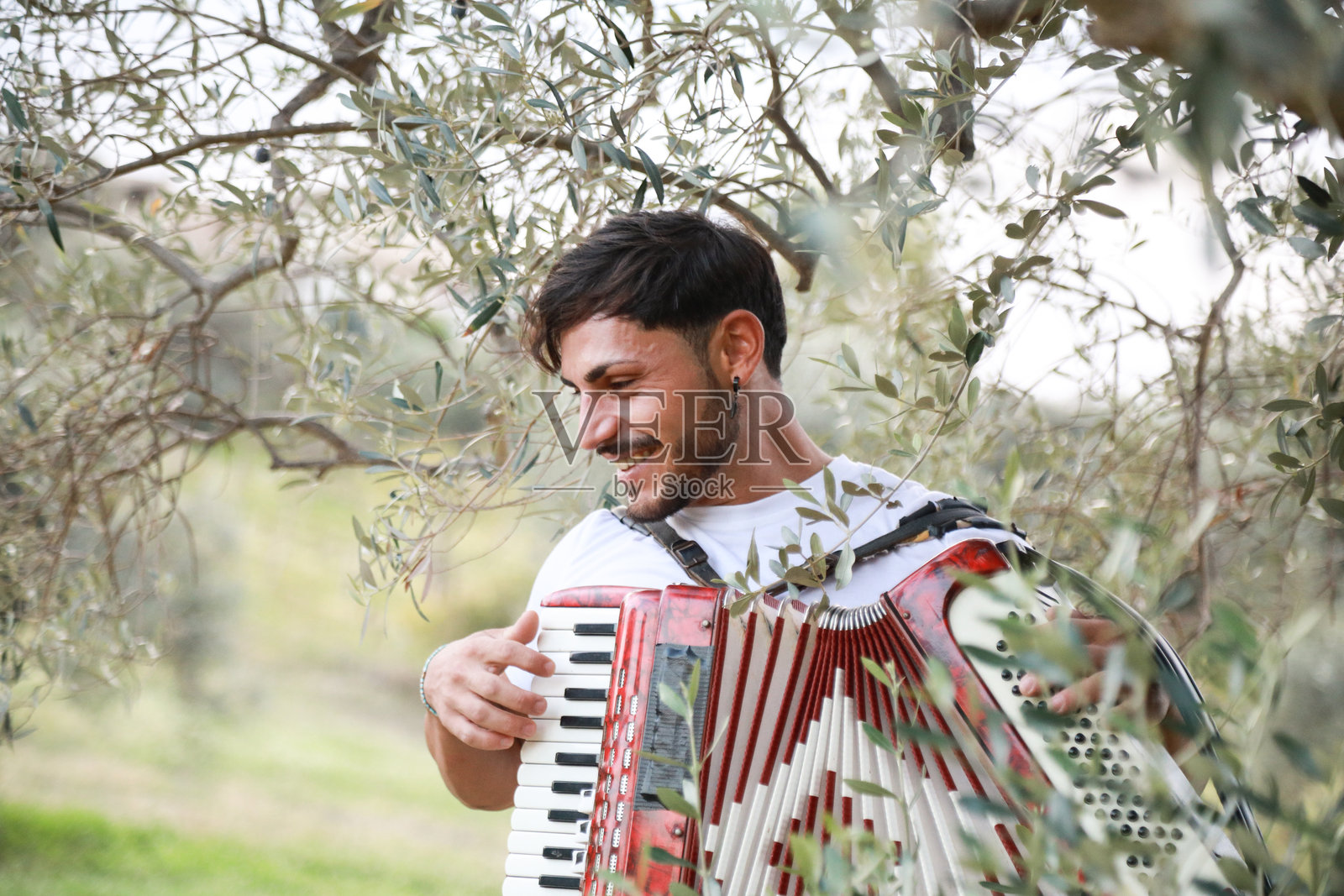 绿色田野中的手风琴音乐声照片摄影图片