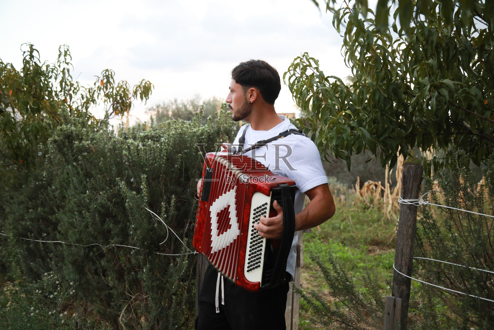 专业手风琴演奏者的技巧与能力照片摄影图片