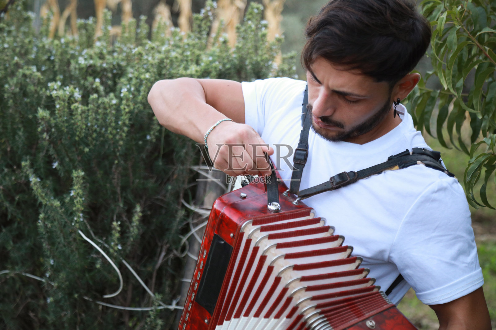 在表演结束时收起手风琴照片摄影图片