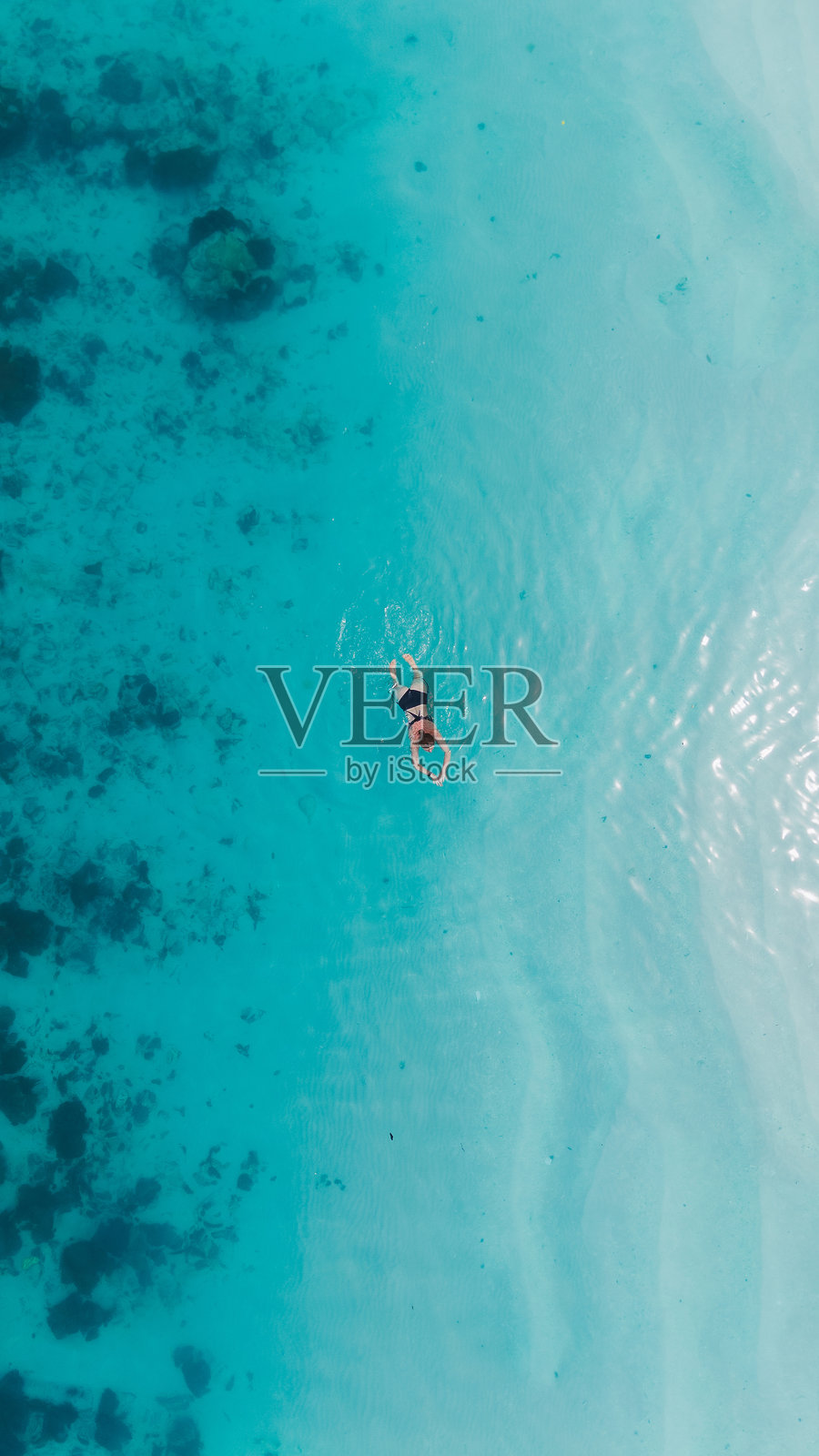 女人在碧蓝的海洋中游泳，俯瞰珊瑚礁的鸟瞰图照片摄影图片