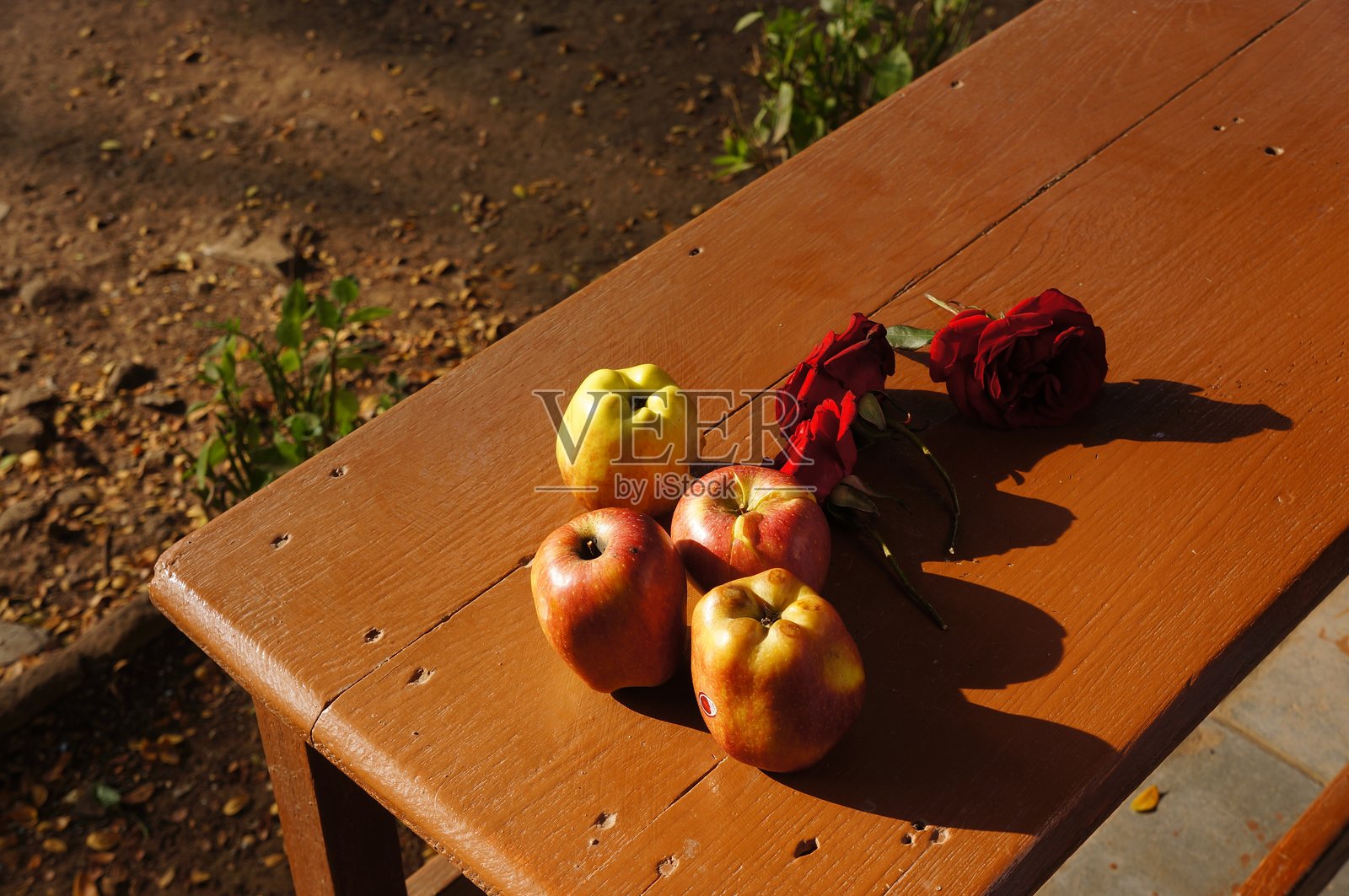 木桌上摆放着苹果和玫瑰的静物组合，沐浴在温暖的阳光下。照片摄影图片