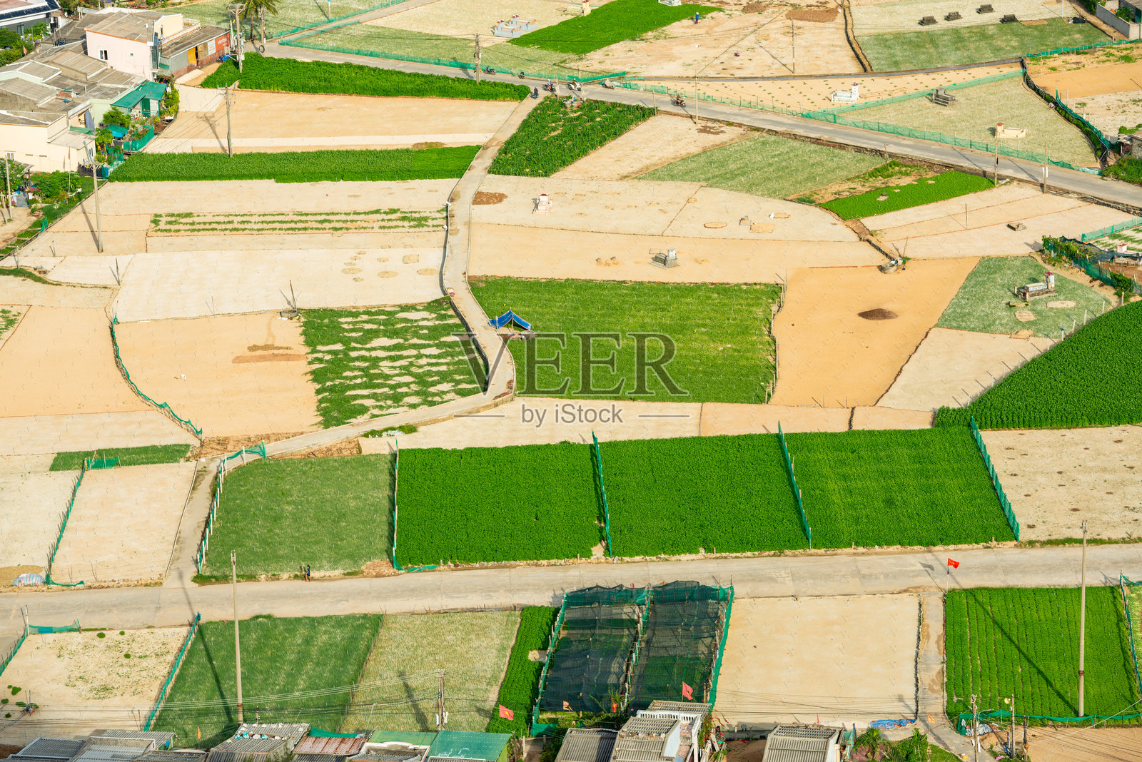 越南广义的古老岛或Ly Son岛或火山岛。照片摄影图片