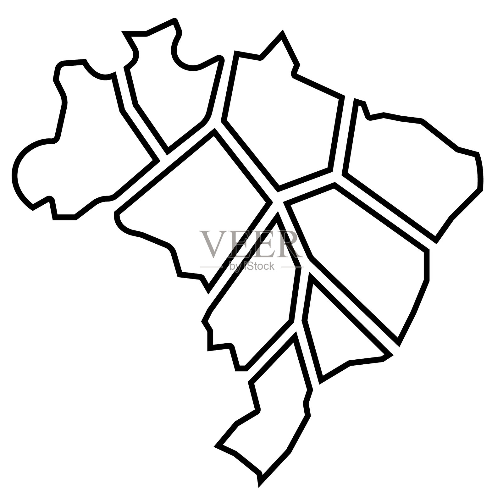 巴西分矢量图插画图片素材