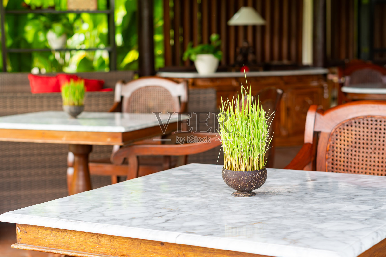 舒适的餐饮区，配有大理石桌子和绿植照片摄影图片