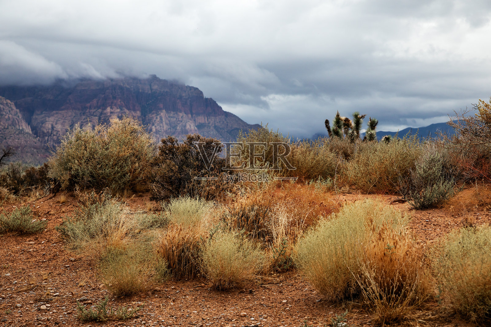 红岩峡谷地区位于内华达州拉斯维加斯附近，是美国旅游和徒步旅行的休闲概念照片摄影图片