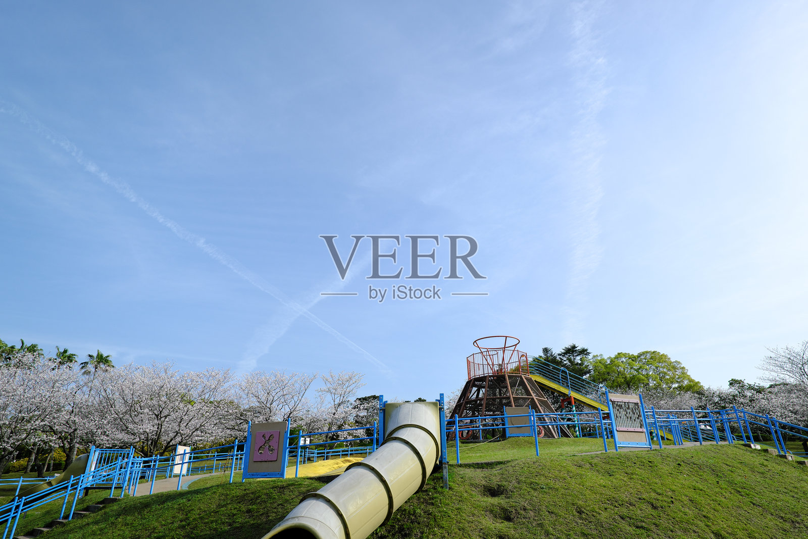 观赏樱花和吉野公园照片摄影图片