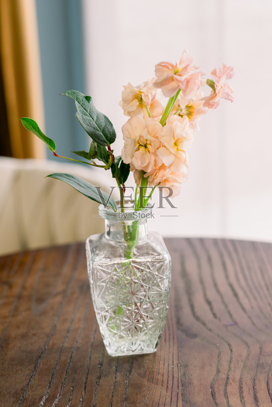 一个漂亮的小玻璃花瓶，上面放着水和一朵非常柔软的粉红色花，放在木桌上。照片摄影图片