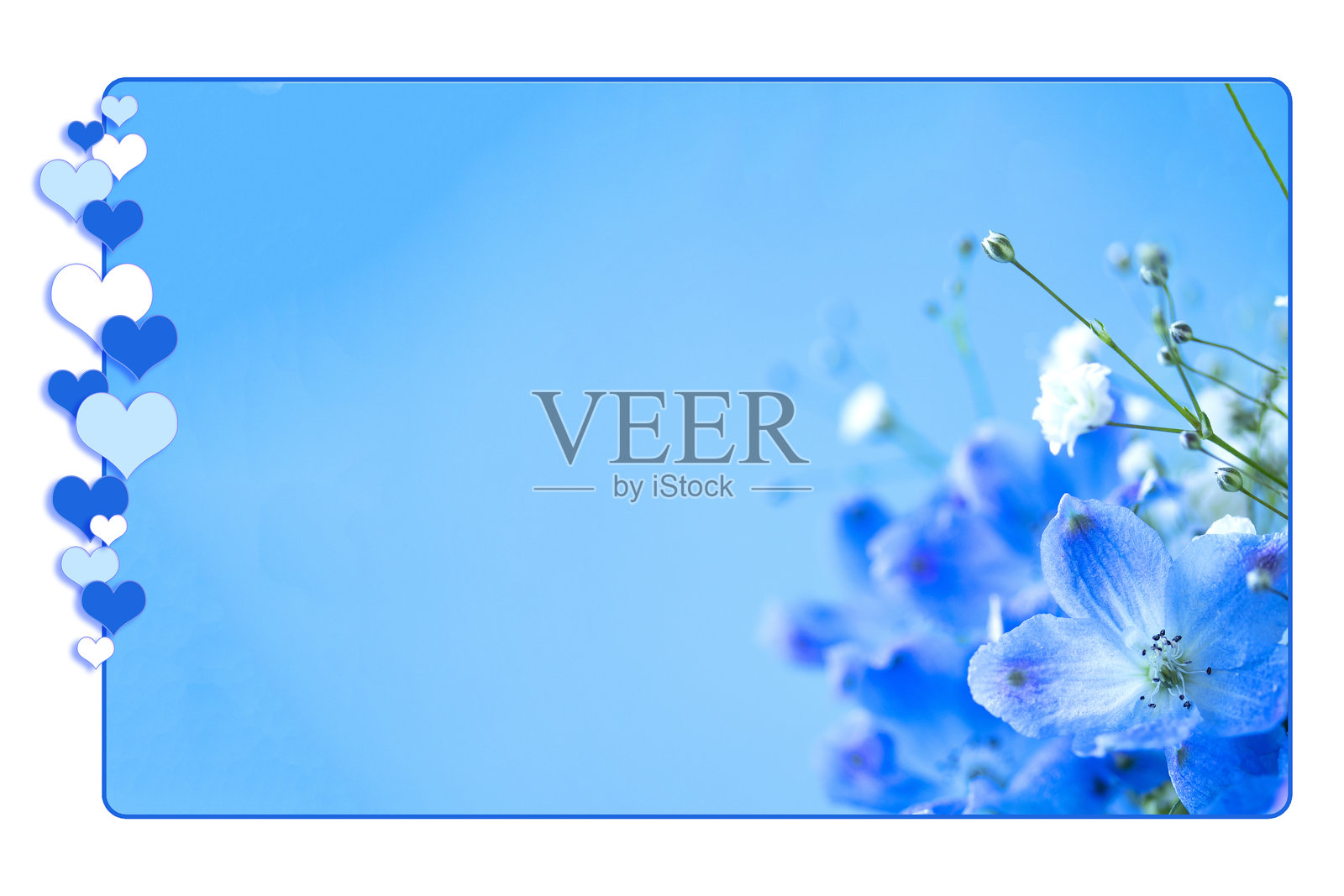 蓝色花“飞燕草”和白色花“Gypsophila”花束。蓝色背景。核心框架。照片摄影图片