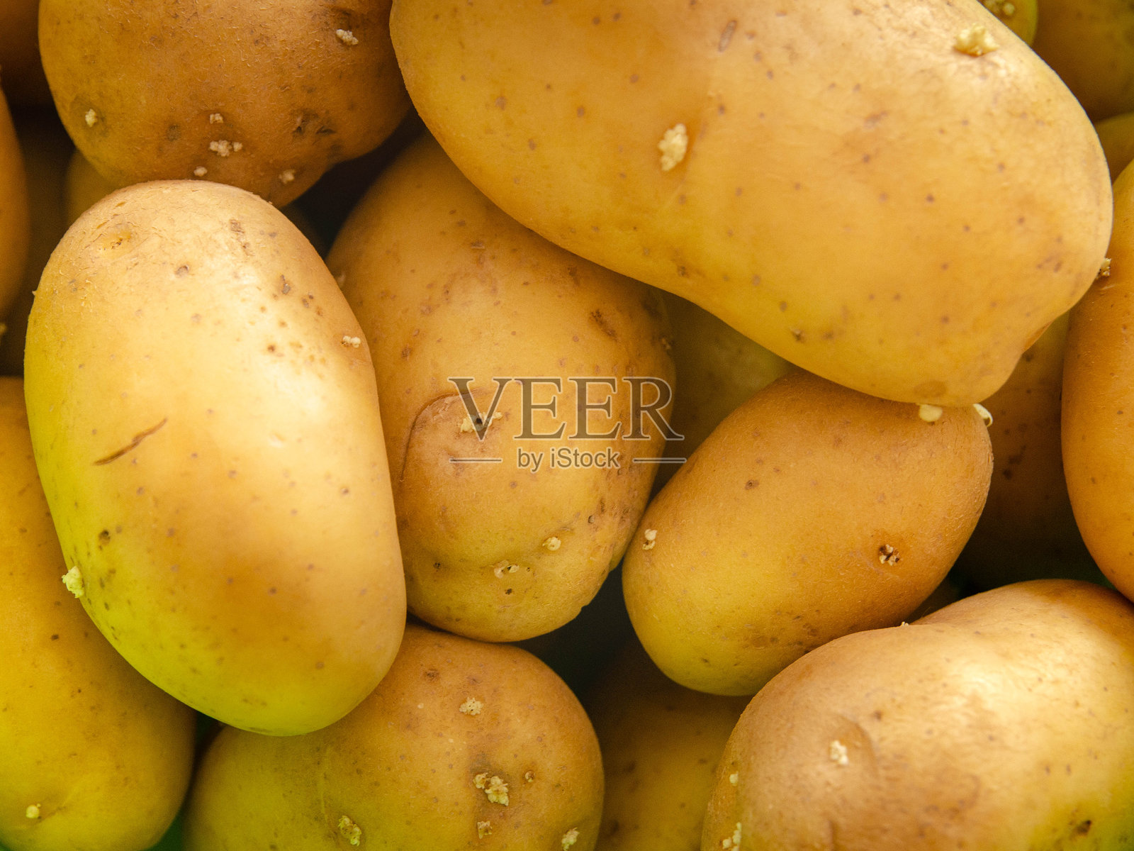 新鲜黄土豆有机农产品，横幅文案，空间照片摄影图片