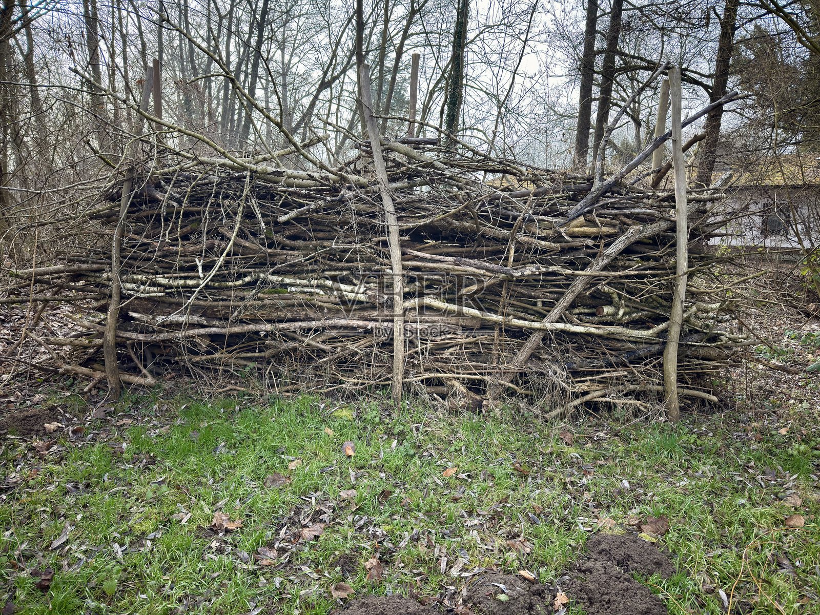 由枯木制成的本杰斯篱笆照片摄影图片