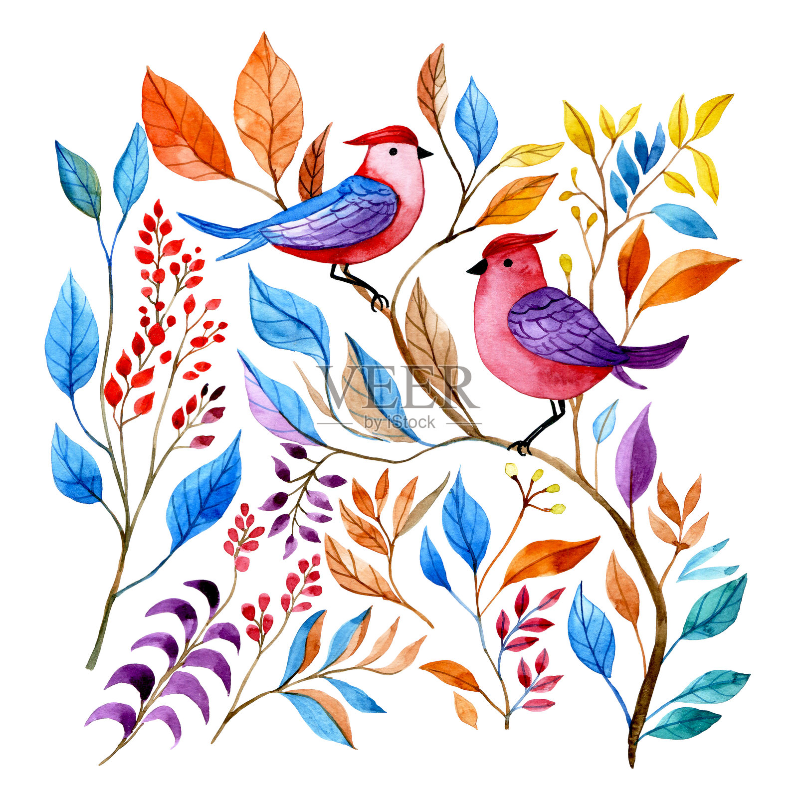 可爱的水彩插图与彩色鸟在花园里。鲜艳的花叶插画图片素材