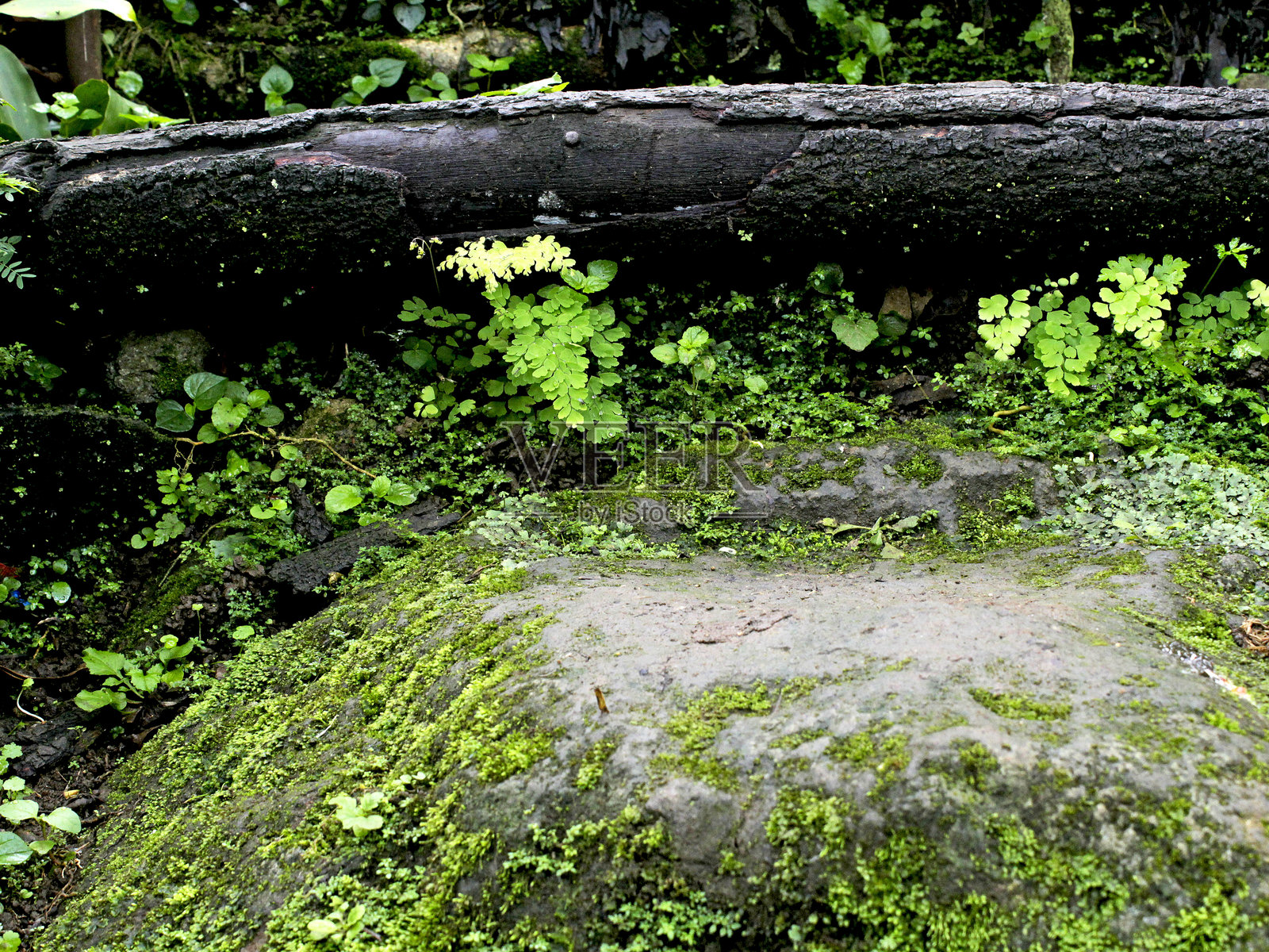 步骤照片摄影图片