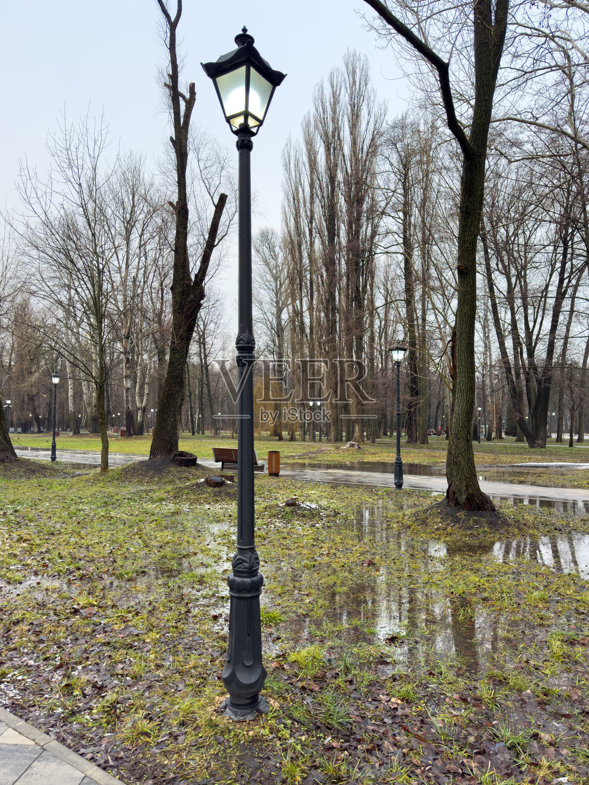 公园里有一根顶部装有灯的黑色杆子照片摄影图片